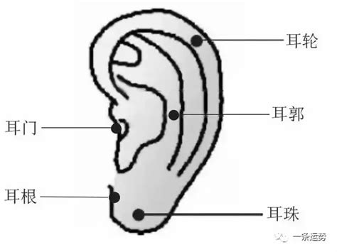 耳屏有痣的男人|耳朵长痣的位置图解 耳朵长痣的位置图解有福气